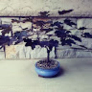 Meet your Posher, Peter